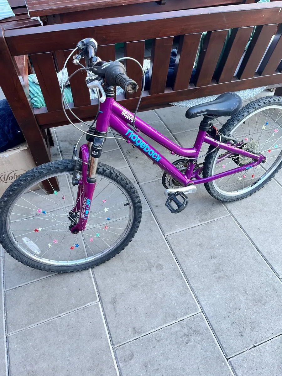 Bycycle - Image 3