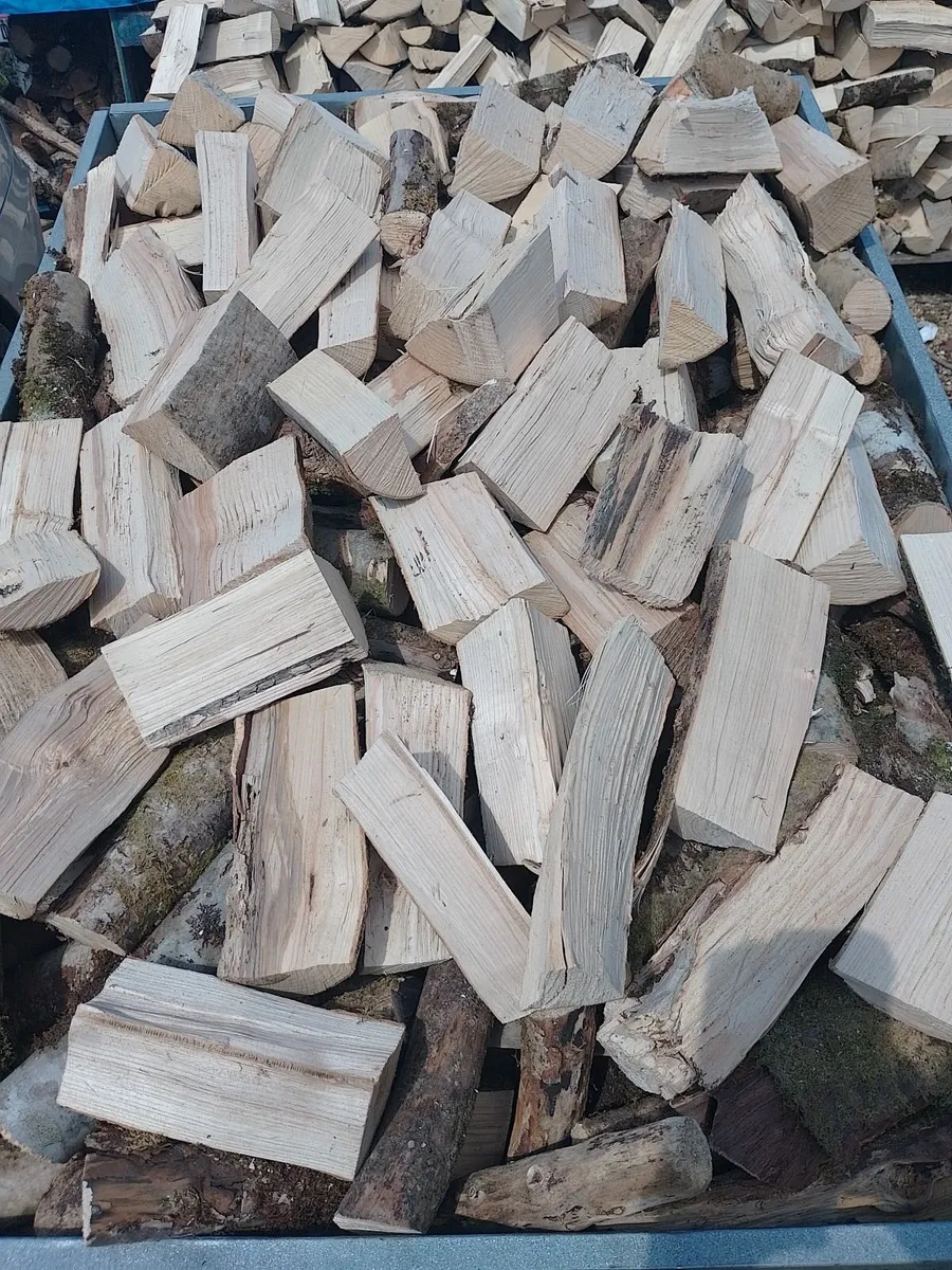Hardwood Timber logs - Image 1