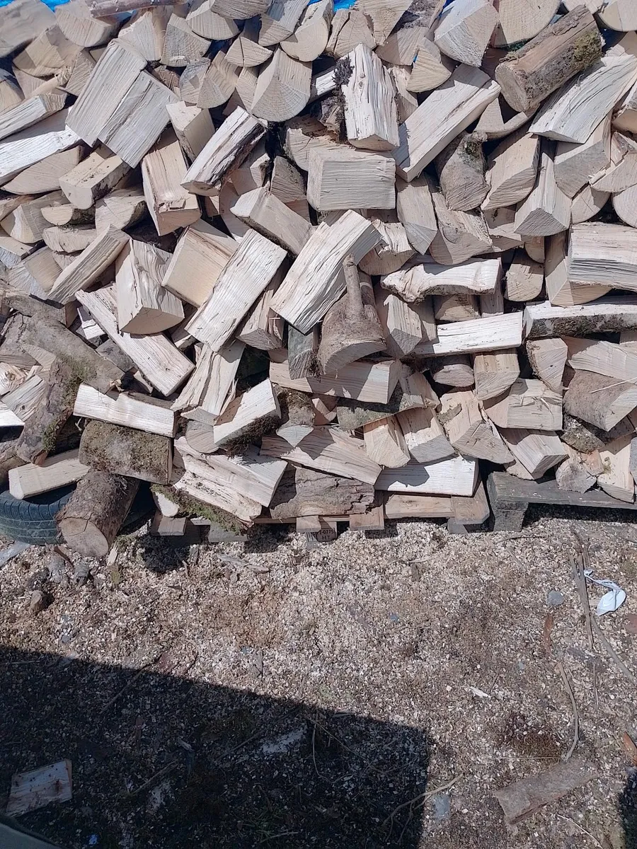 Hardwood Timber logs - Image 2
