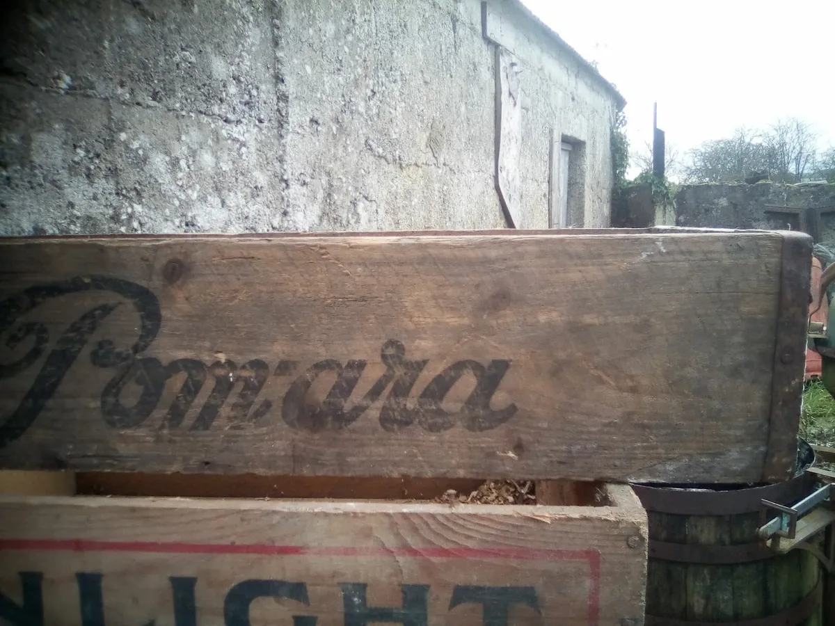 Old beer crates - Image 4