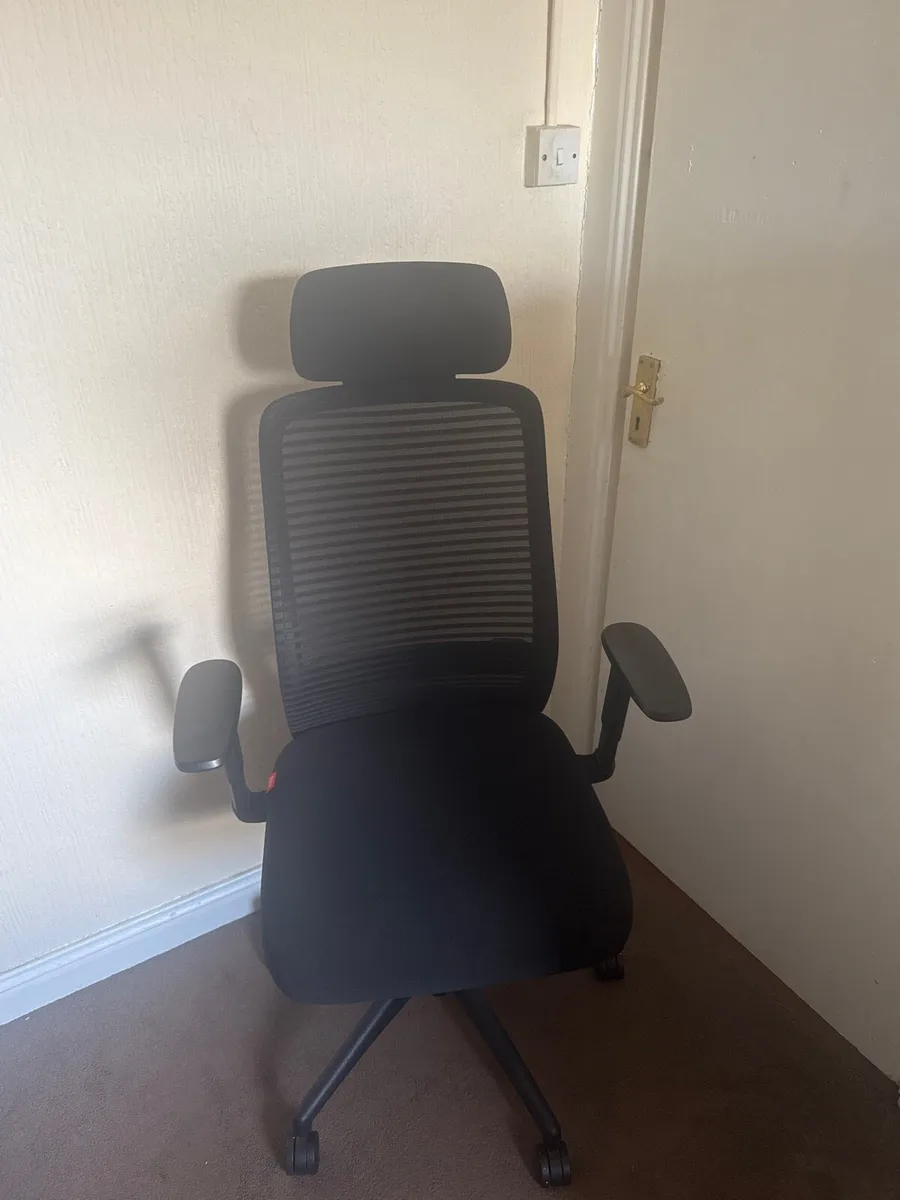 Ergonomic Office Chair - Image 1