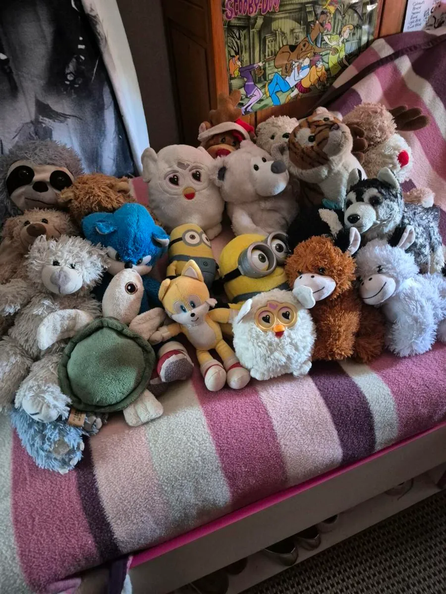 SOFT TOYS - Image 1
