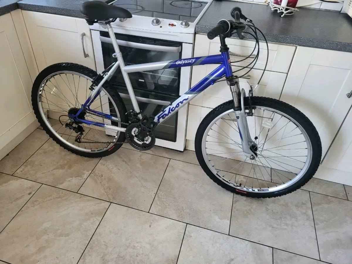 Bike mountain bike - Image 1