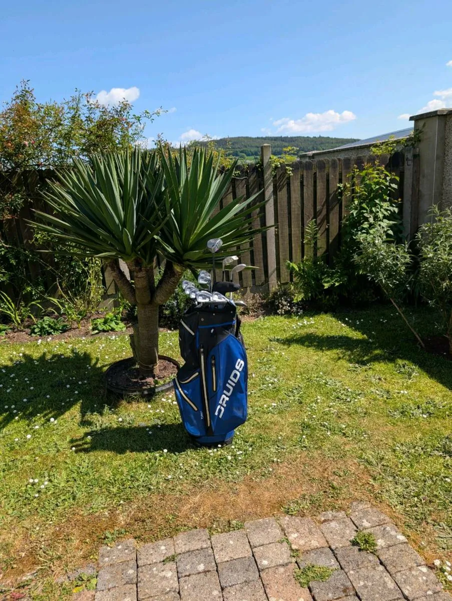 Mizuno pro Golf clubs set - Image 1