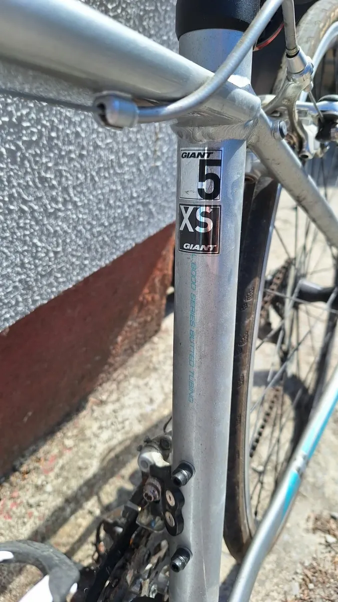 Giant Bicycles - Image 3
