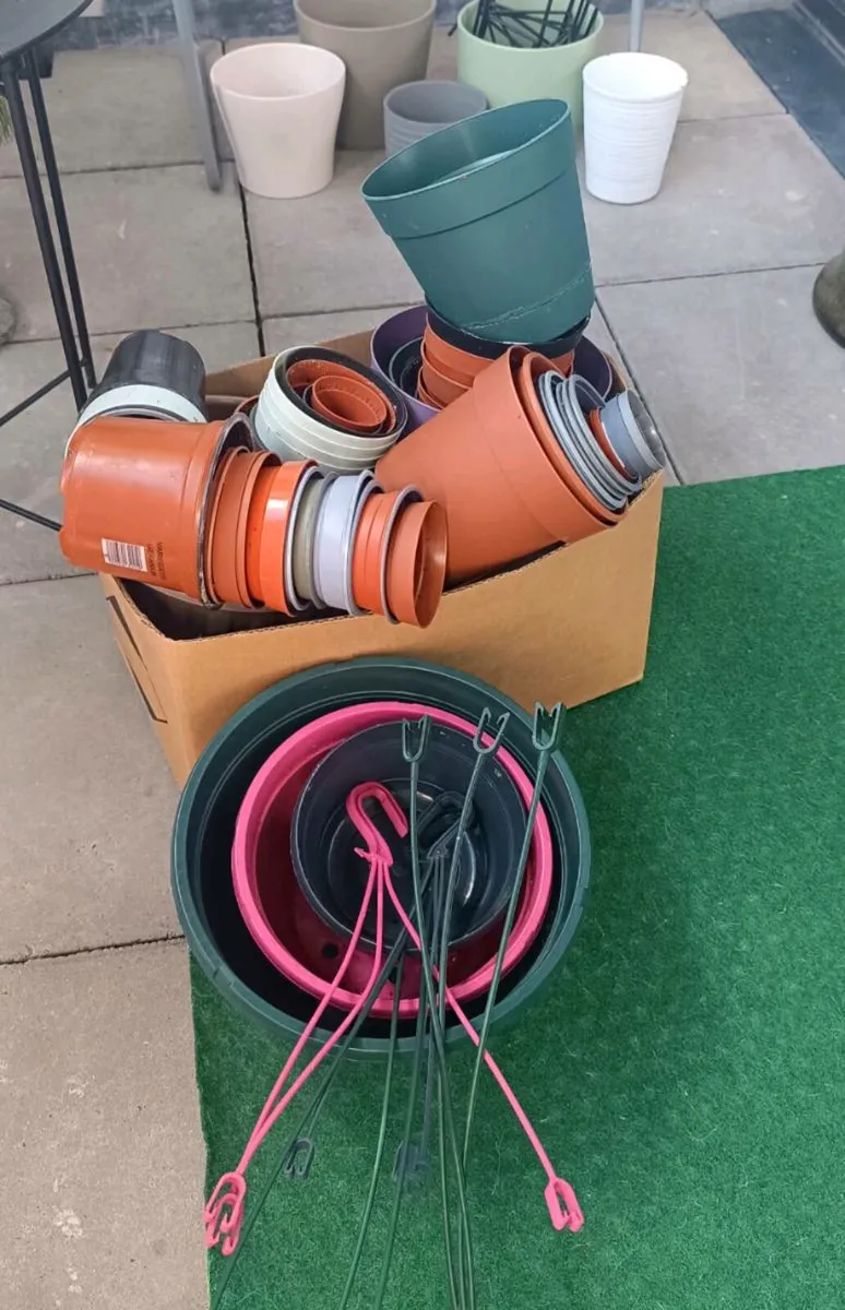 Plant pots - Image 2