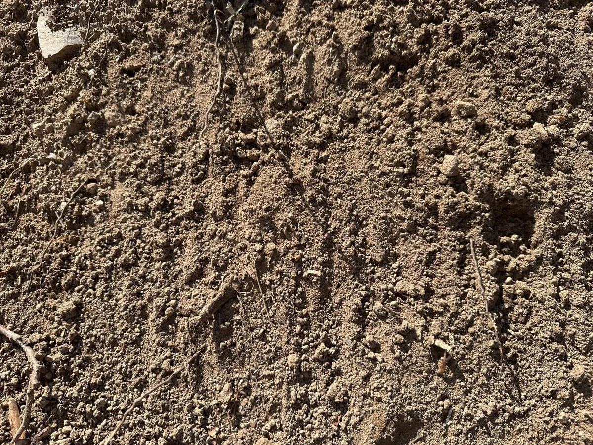 Free soil for collection - Image 3