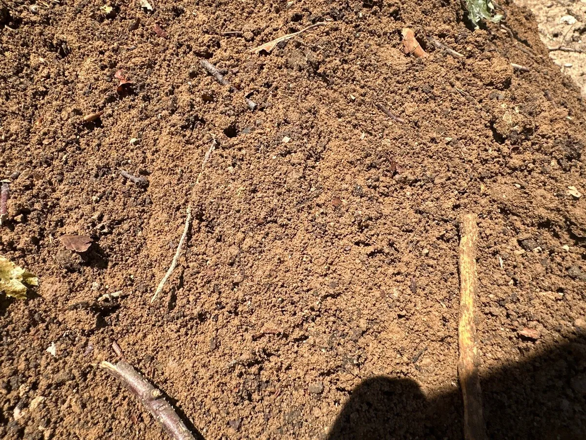 Free soil for collection - Image 4