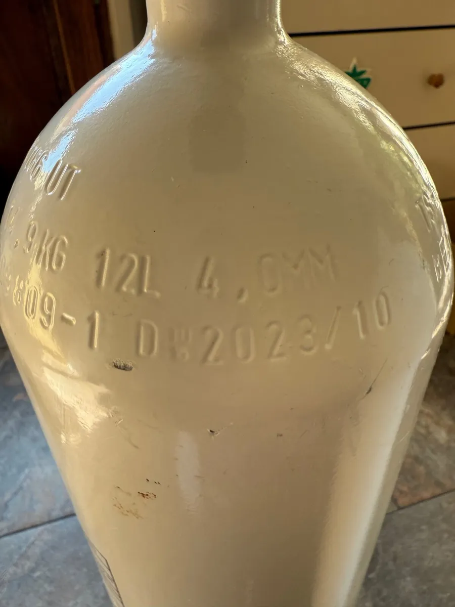 Dive Tanks / Cylinders 2 x 12L - Image 2