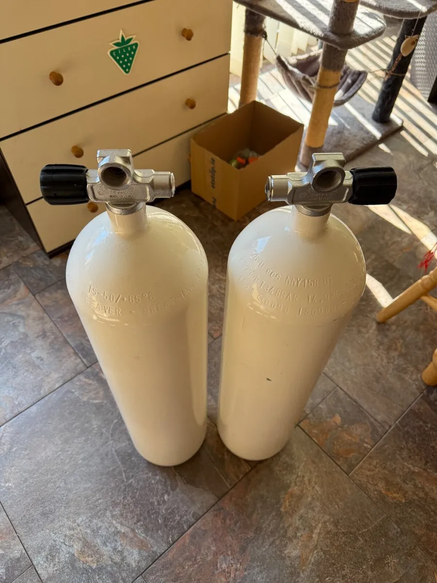 Dive Tanks / Cylinders 2 x 12L - Image 1