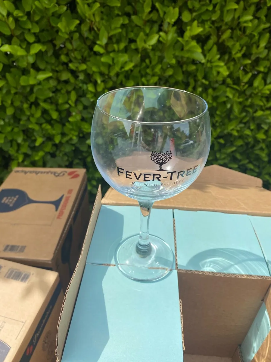 6 Balloon Gin Glasses. - Image 1