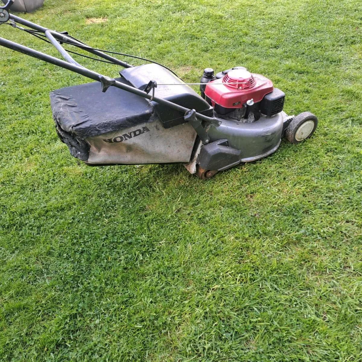 Honda Self Propelled Mower - Image 1