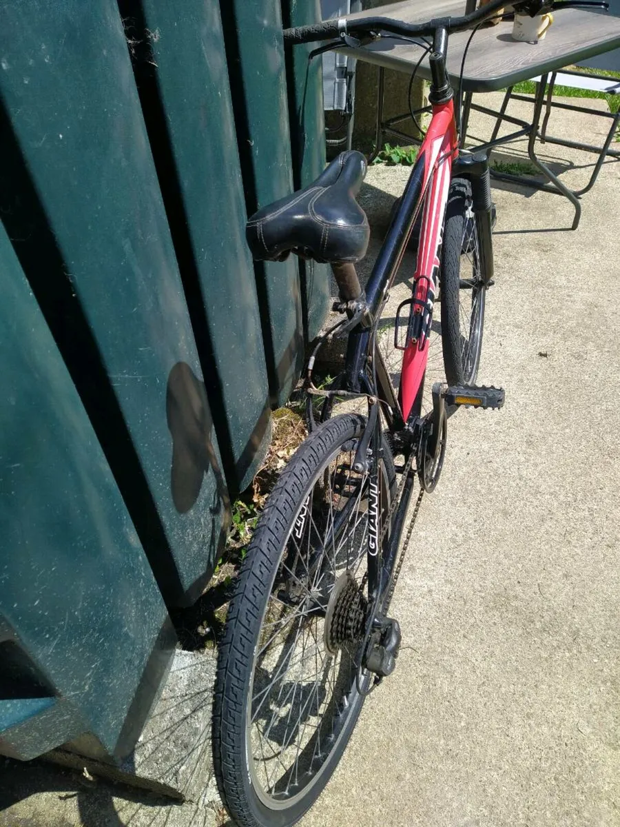 Bycycle - Image 2