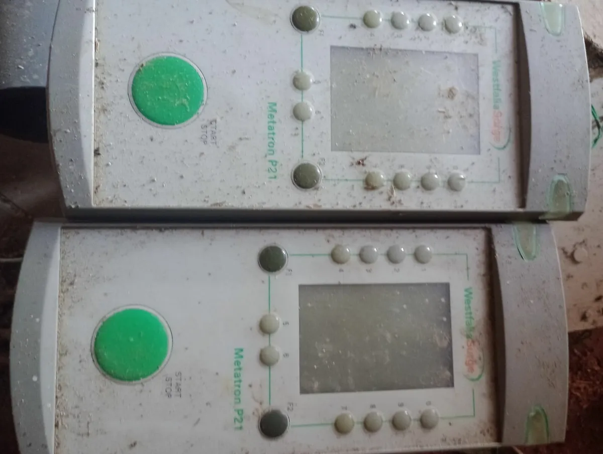 Gea milking parlour - Image 4