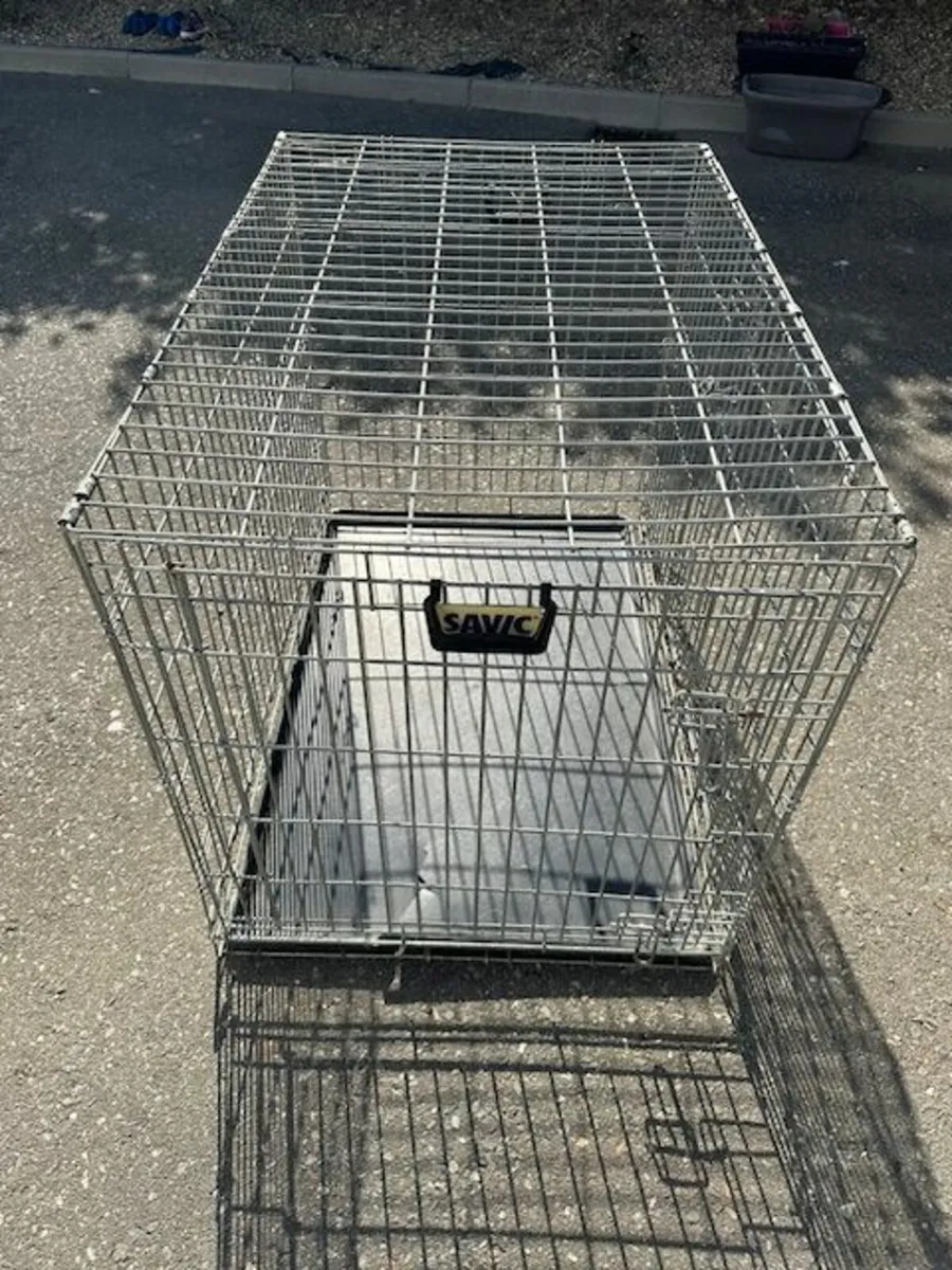 Large Pet Crate - Image 1