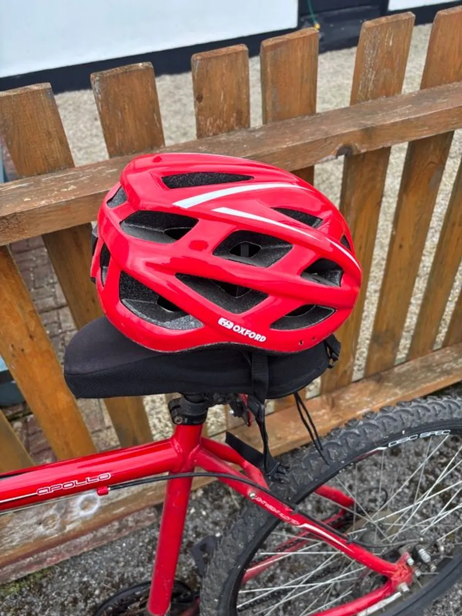 Mountain Bike - Image 4