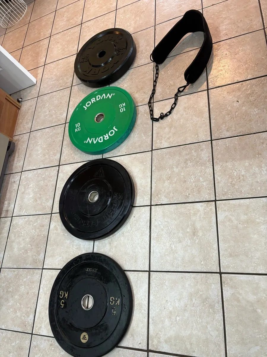 OLYMPIC BUMPER PLATES AND DIPPING CHIN UP BELT! - Image 1
