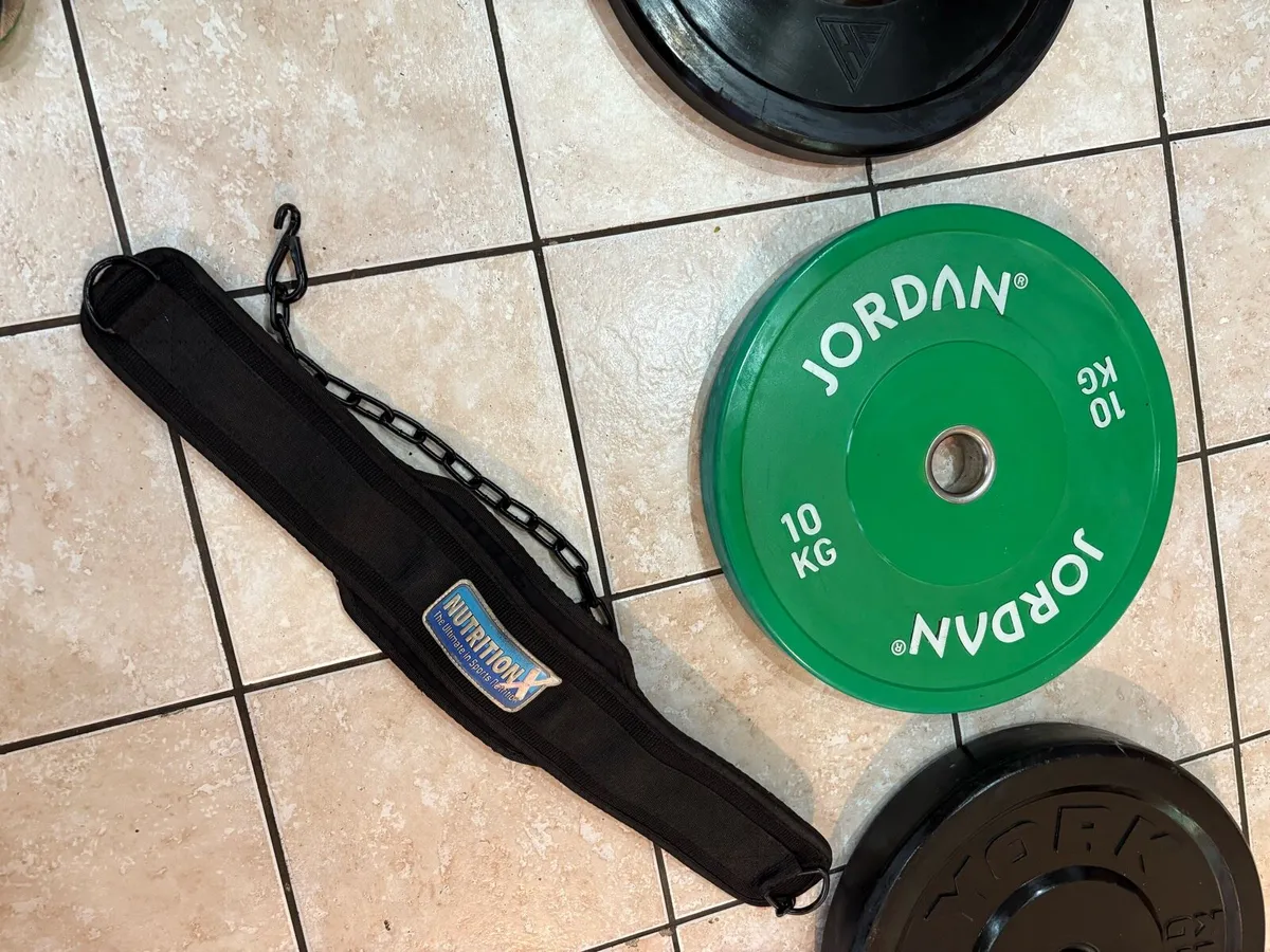 OLYMPIC BUMPER PLATES AND DIPPING CHIN UP BELT! - Image 2
