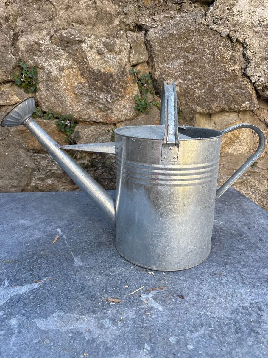 Galvanised watering can 2 gallon
