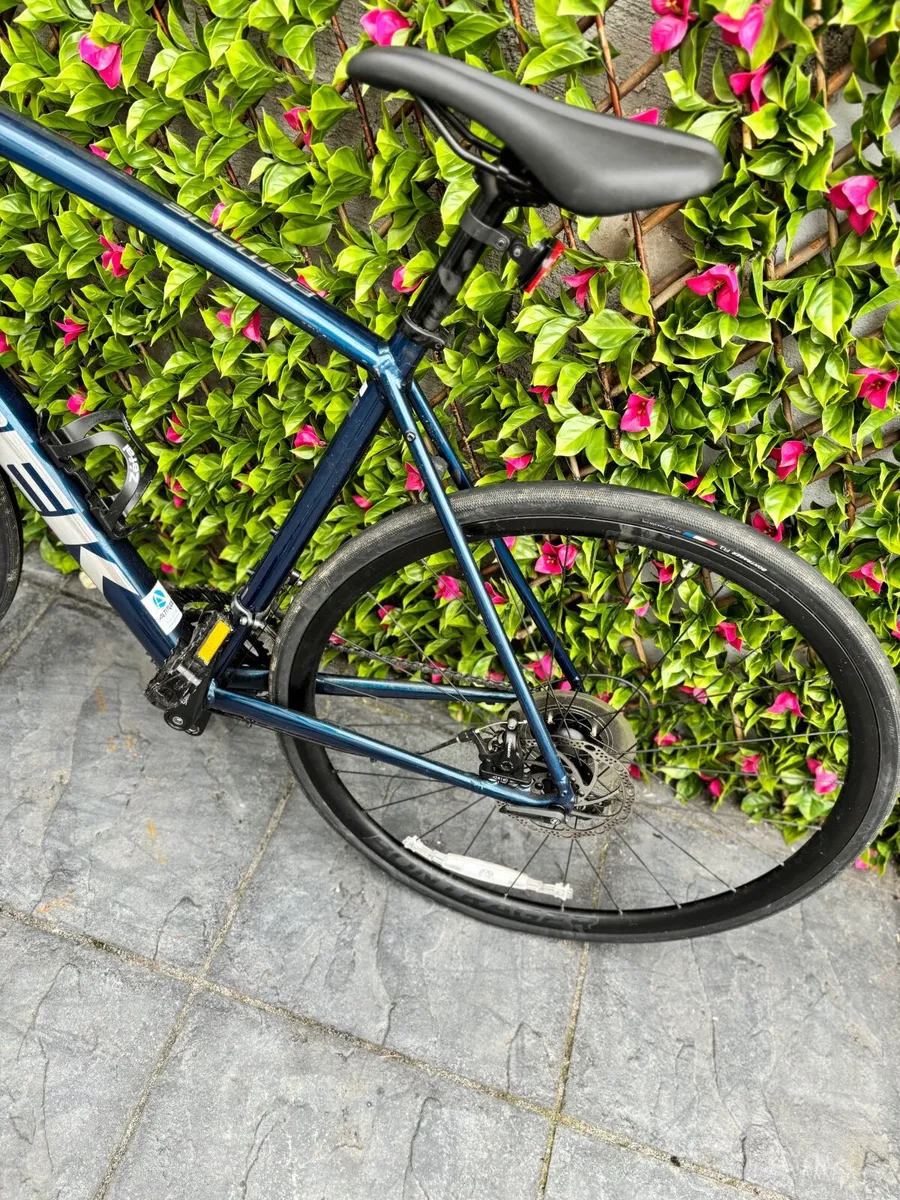 Bicycle - Trek Domane AL 2 Disc (56cm) - Image 2