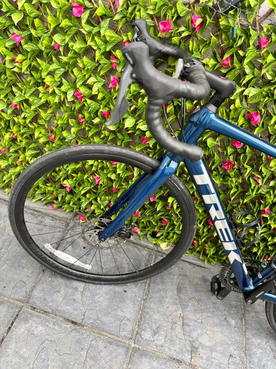 Bicycle - Trek Domane AL 2 Disc (56cm) - Image 3