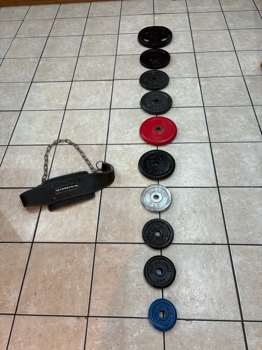 WEIGHT PLATES (1 INCH) AND DIP BELT! - Image 1