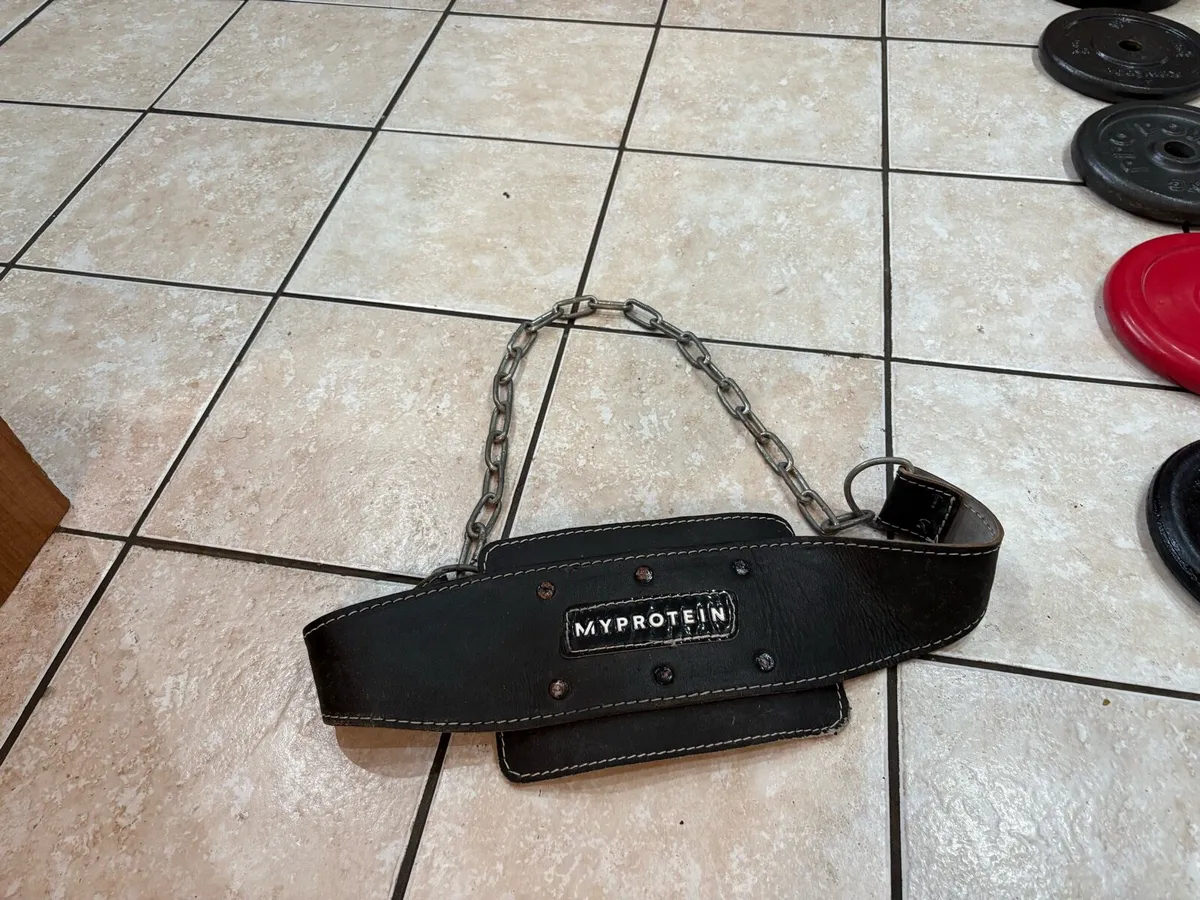 WEIGHT PLATES (1 INCH) AND DIP BELT! - Image 2
