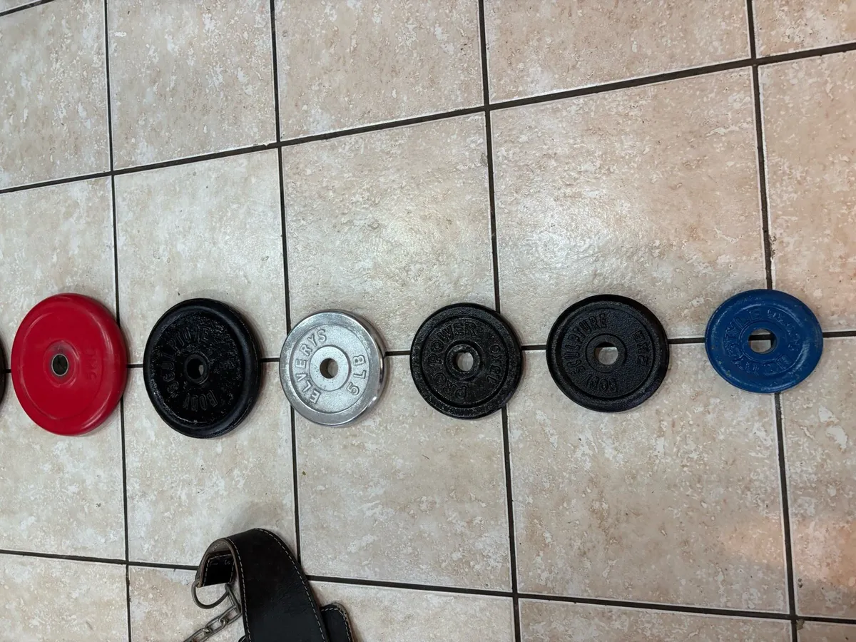 WEIGHT PLATES (1 INCH) AND DIP BELT! - Image 3