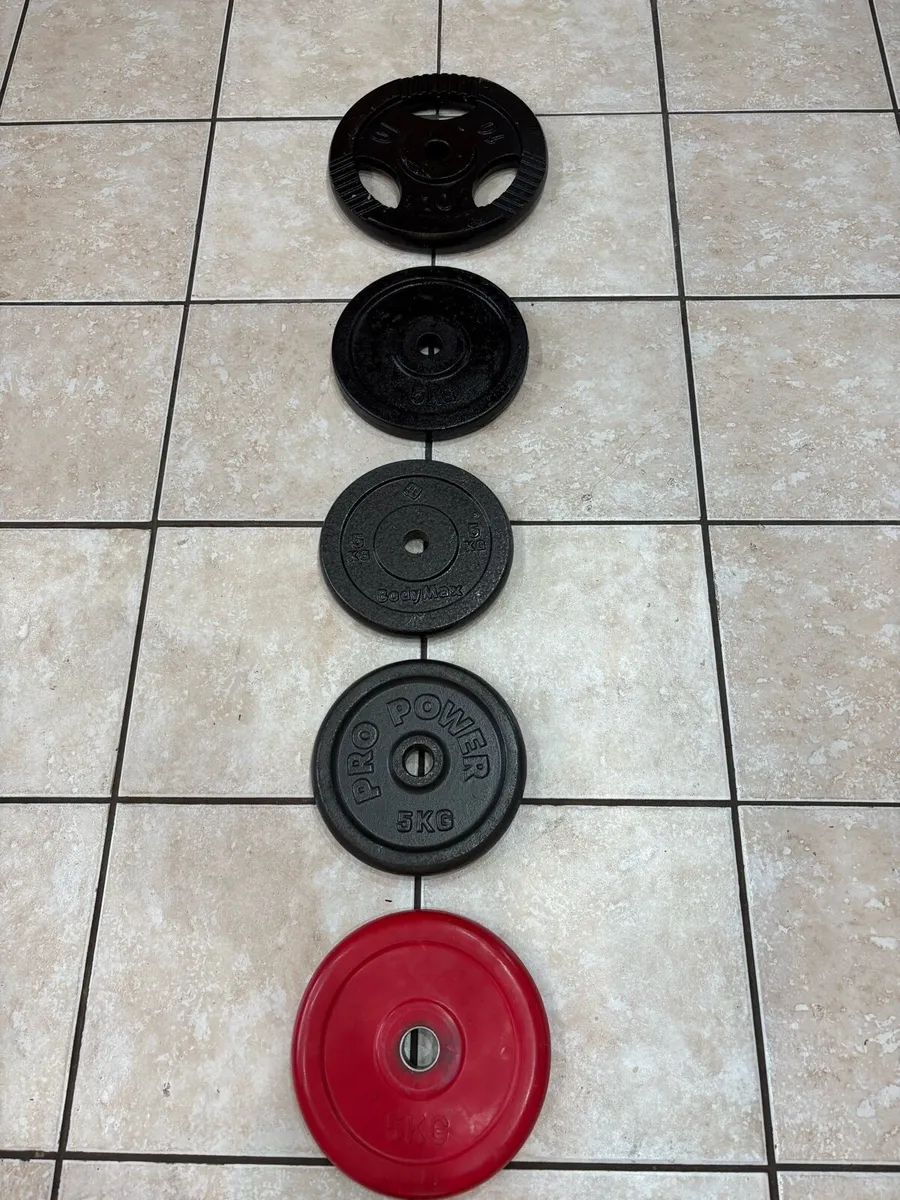 WEIGHT PLATES (1 INCH) AND DIP BELT! - Image 4