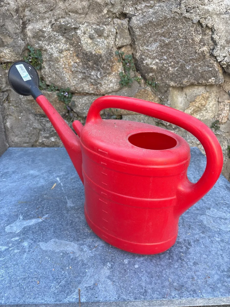 Plastic Watering can 10 gallon