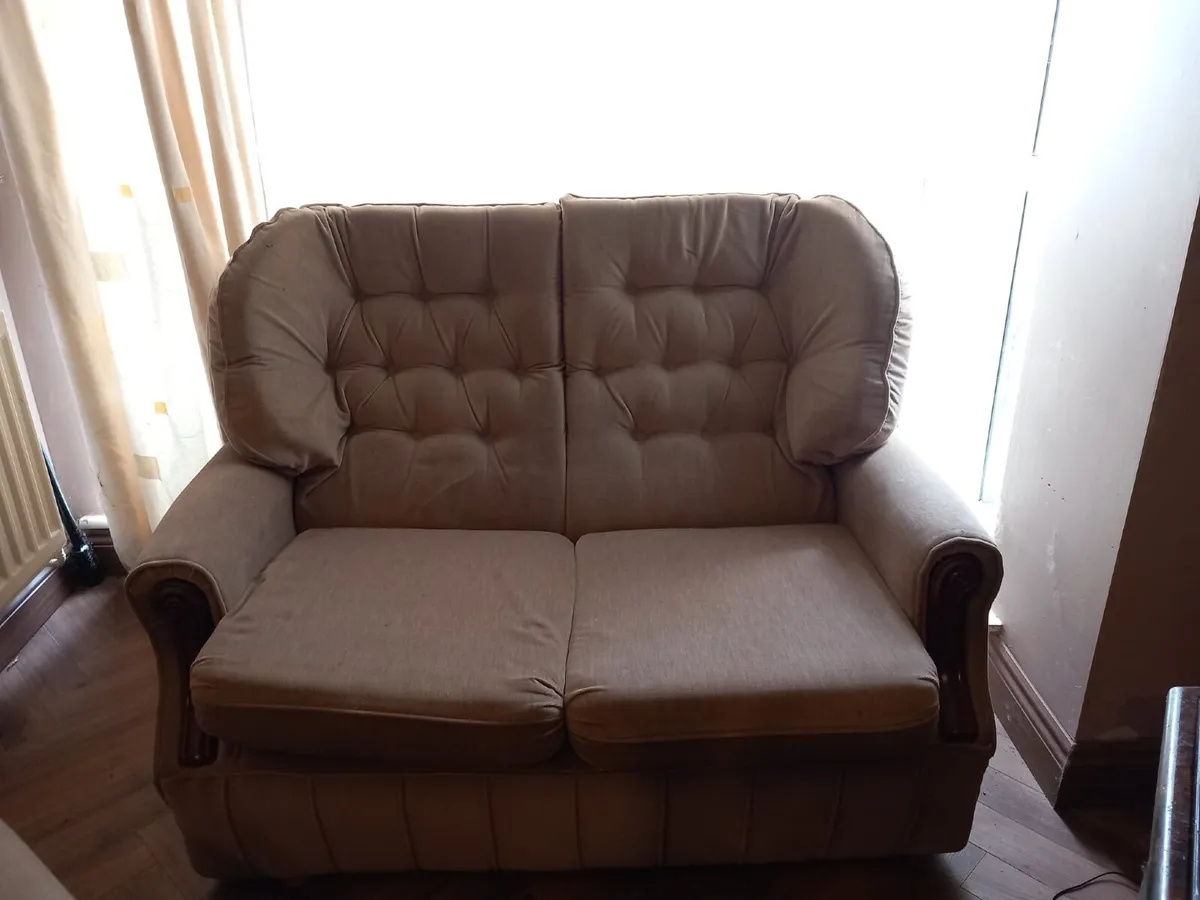 Two- Seater Sofa and Matching Single Seat Sofa - Image 1