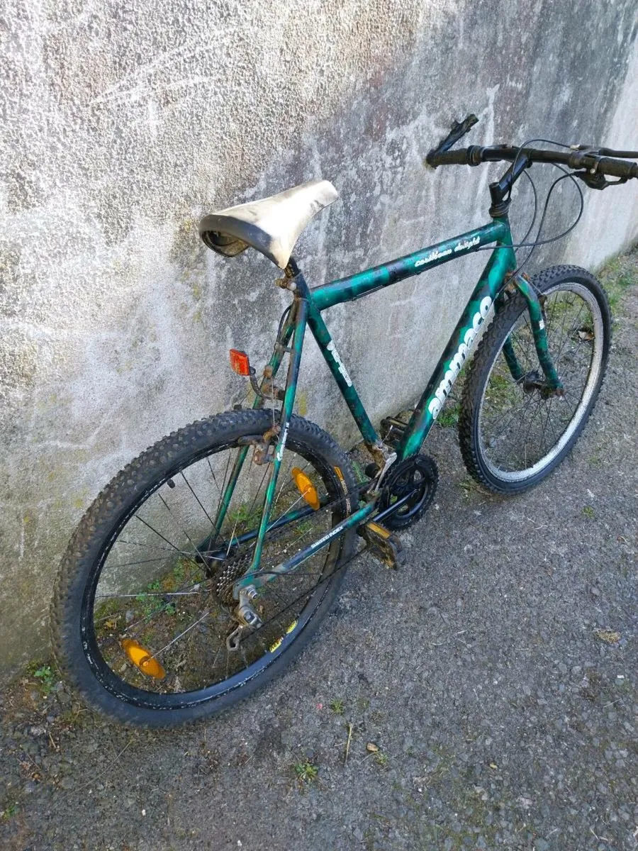 Men's mountain bike - Image 2