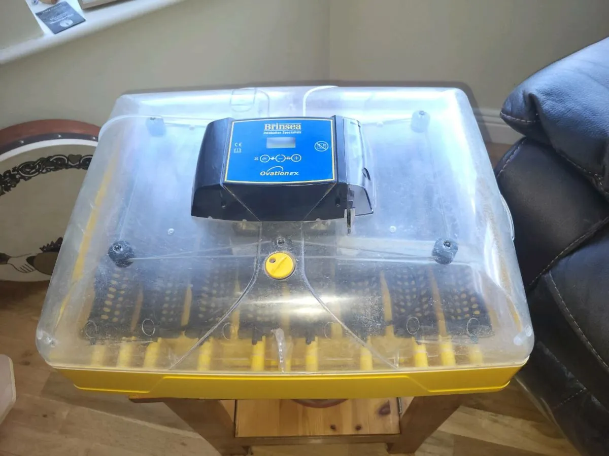 Incubator - Image 1