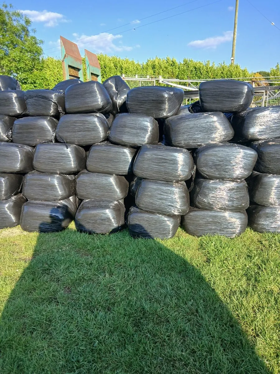Square bales hayledge - Image 1