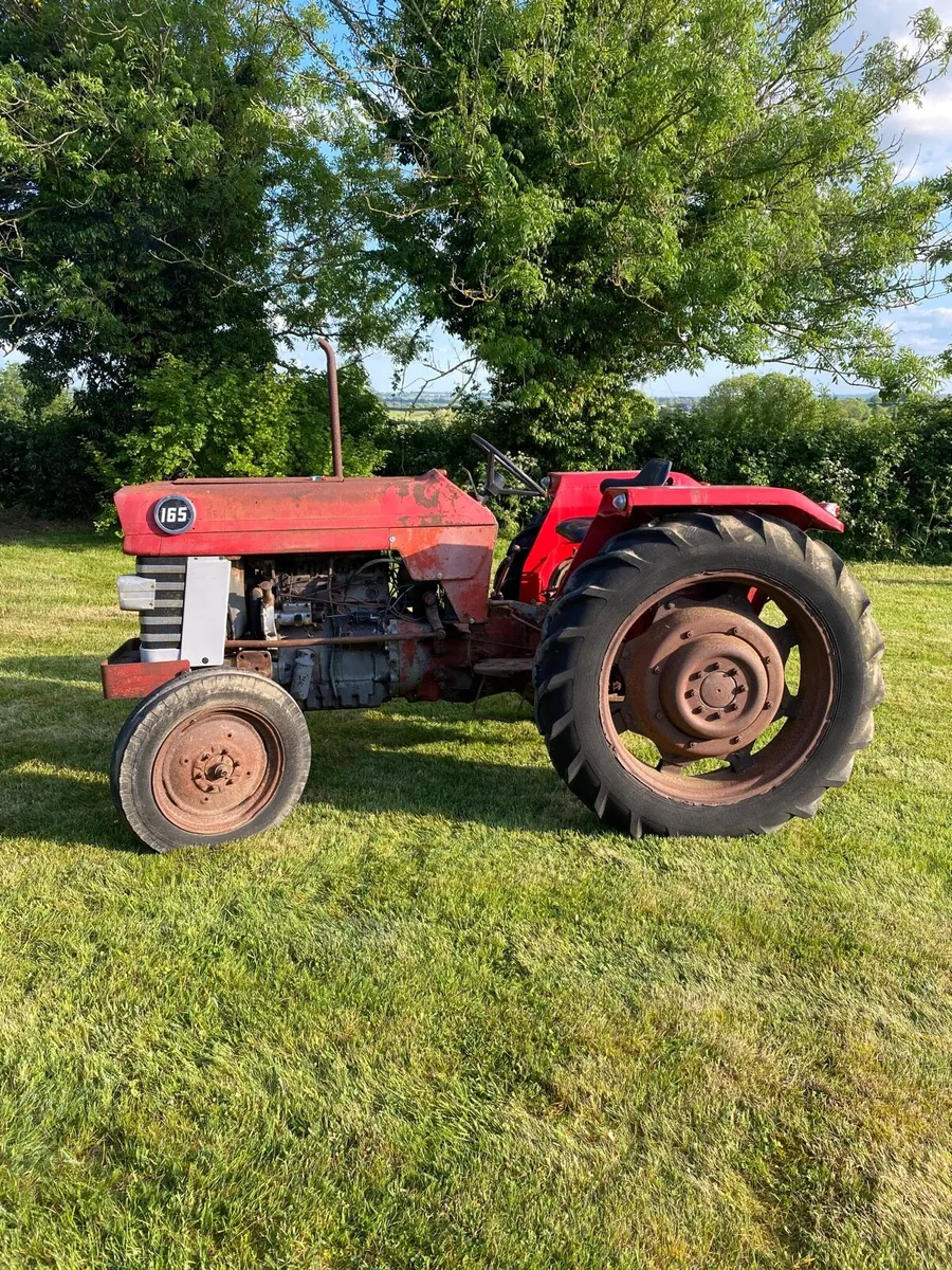 Massey Ferguson 165 - Image 2