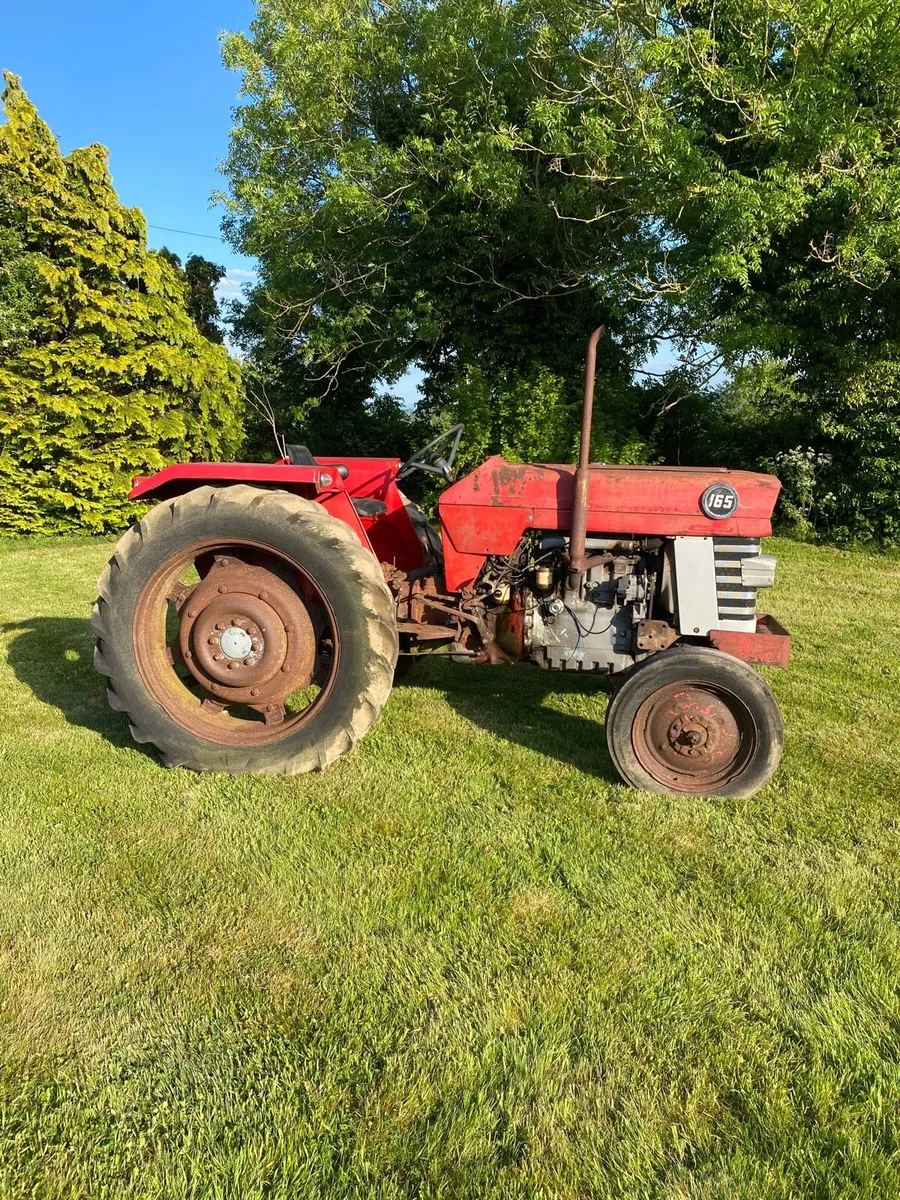 Massey Ferguson 165 - Image 4
