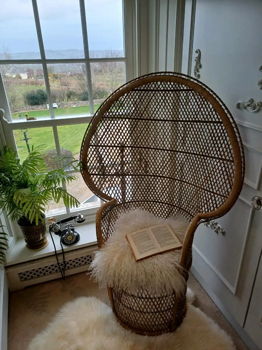 Stunning Original 70s Peacock Chair - Image 1