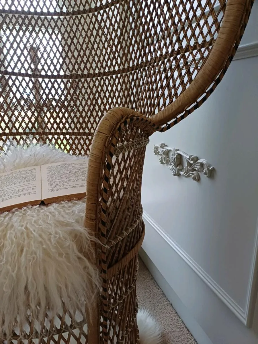 Stunning Original 70s Peacock Chair - Image 2