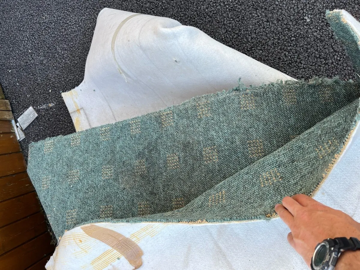 Carpet for free - Image 1