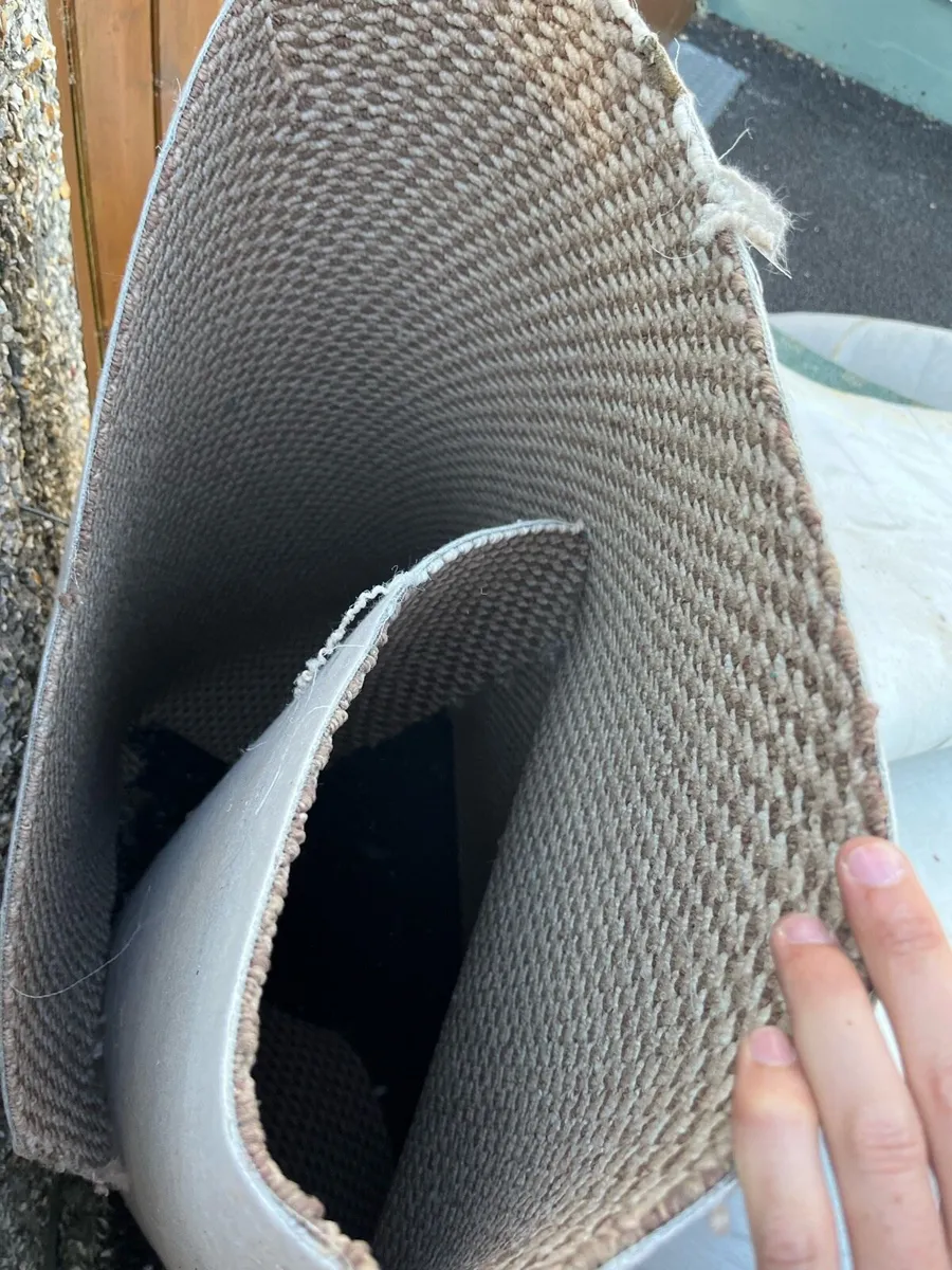 Carpet for free - Image 2