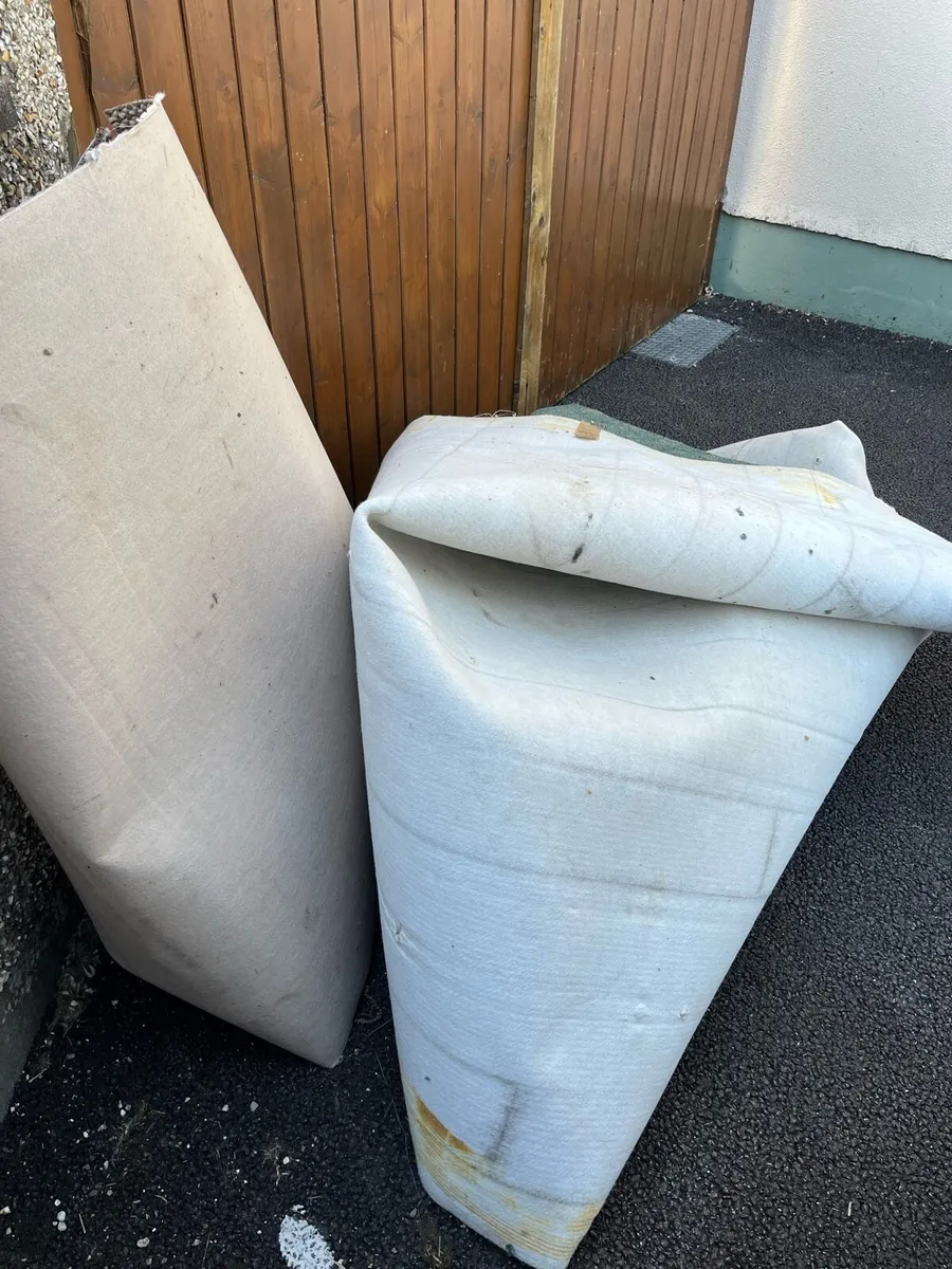 Carpet for free - Image 3