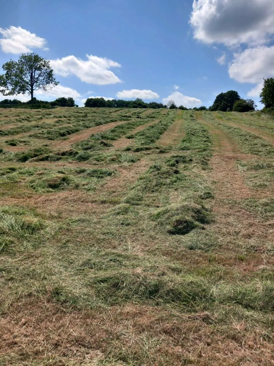 Silage May 2025 (no rain) - Image 1