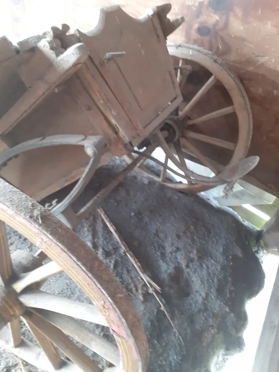 Small horse trap - Image 2