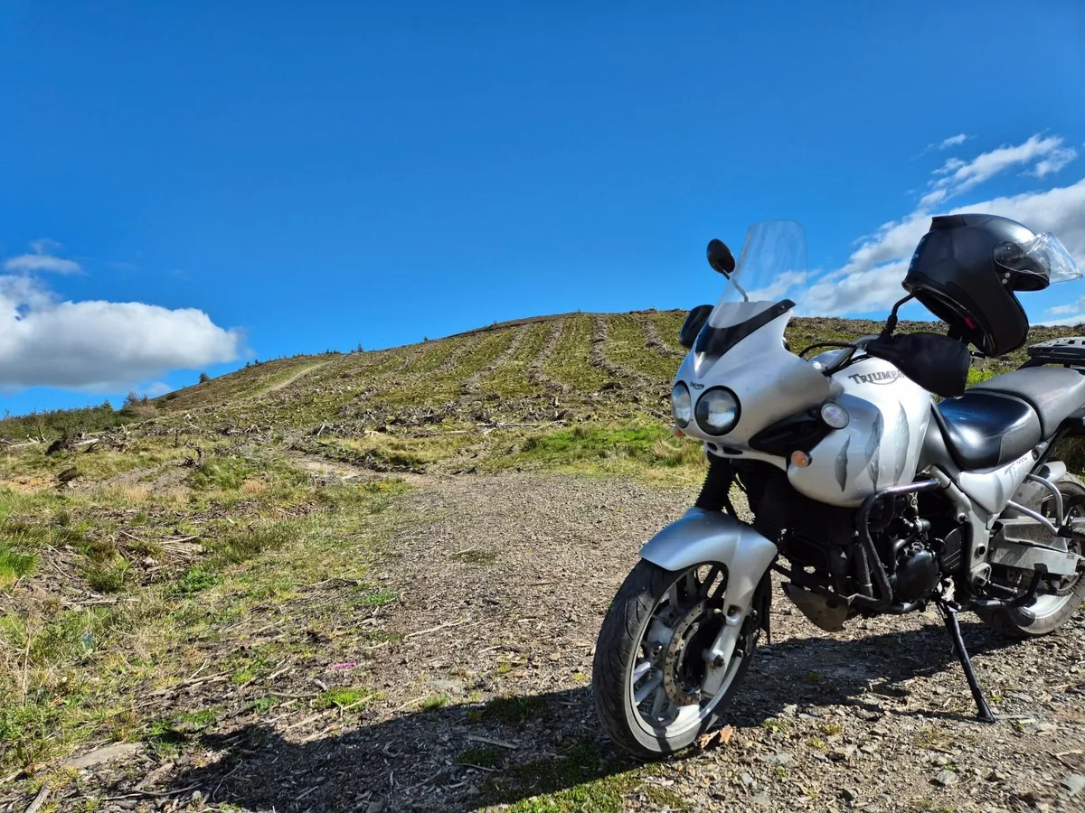 Triumph Other 2005 - Image 2