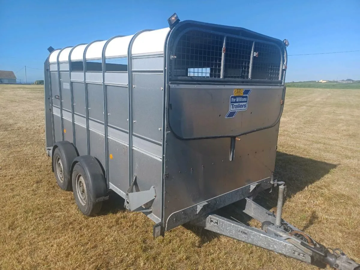 I.W 12 x 6 Cattle Trailer For Sale - Image 1
