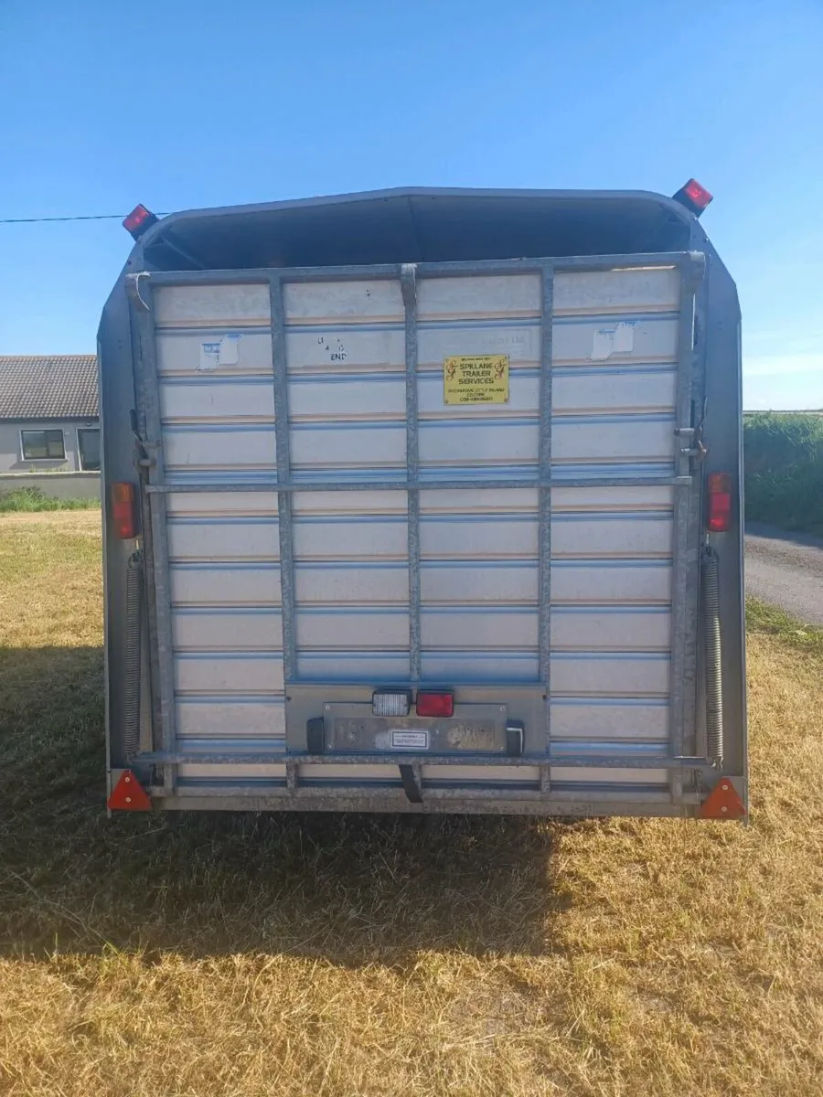 I.W 12 x 6 Cattle Trailer For Sale - Image 3