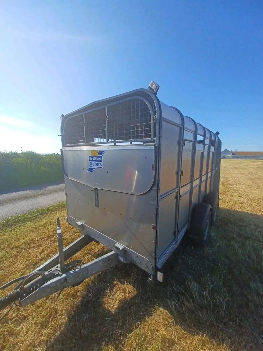 I.W 12 x 6 Cattle Trailer For Sale - Image 4