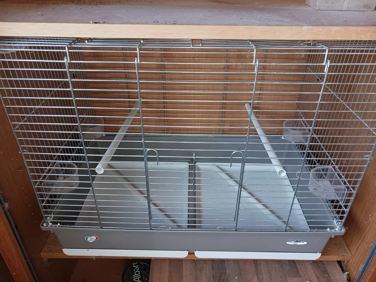 Bird cages - Image 1