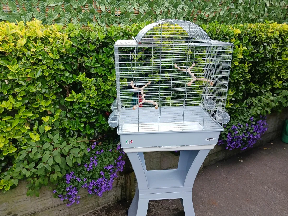 Bird cages - Image 2