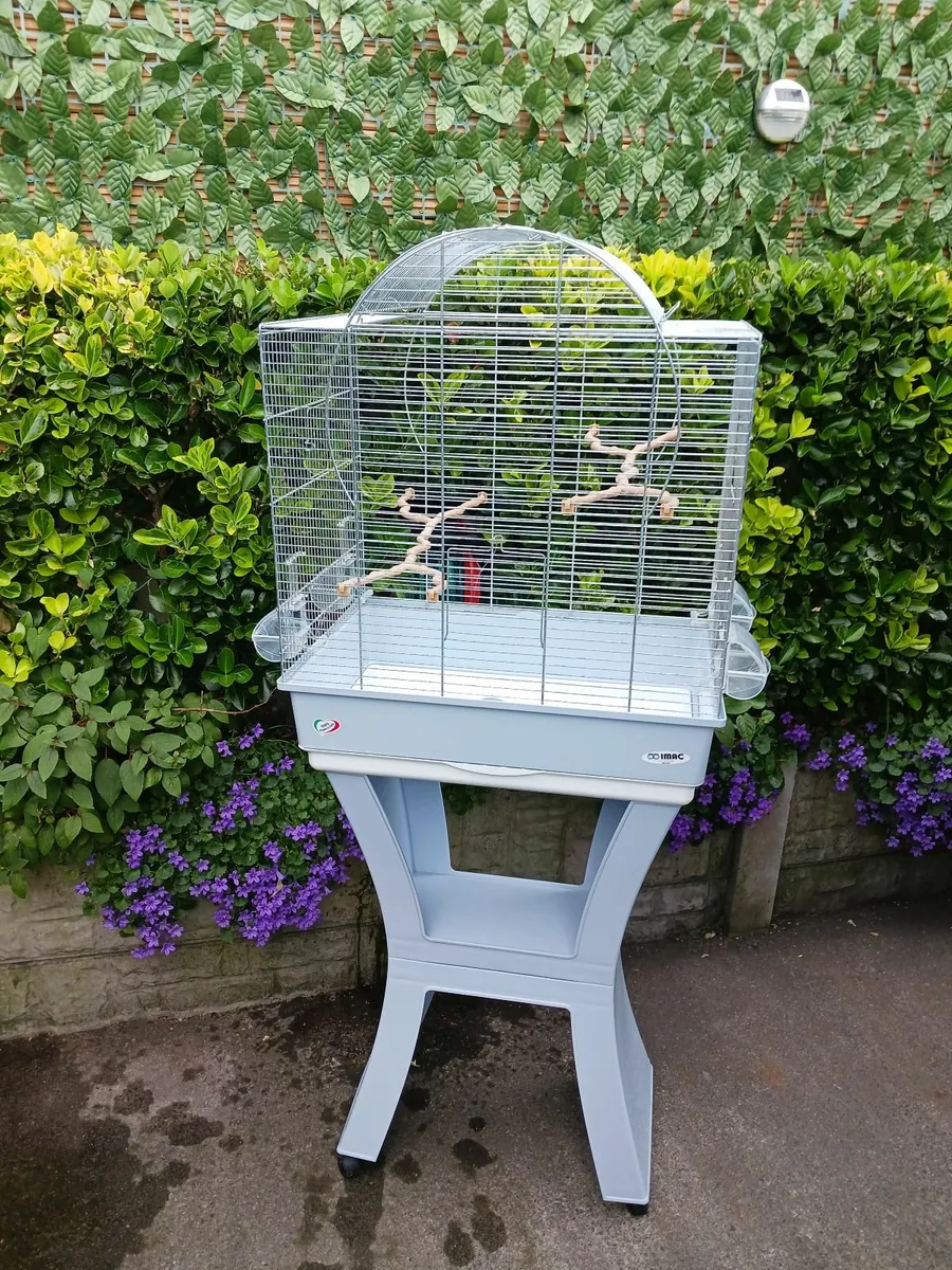 Bird cages - Image 4